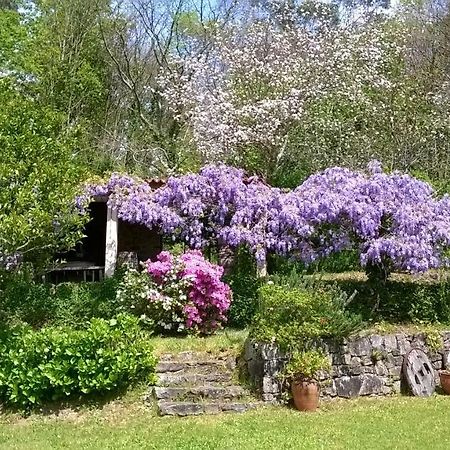 O Lughar Darriba Fogar Natural Gallardo Exteriér fotografie